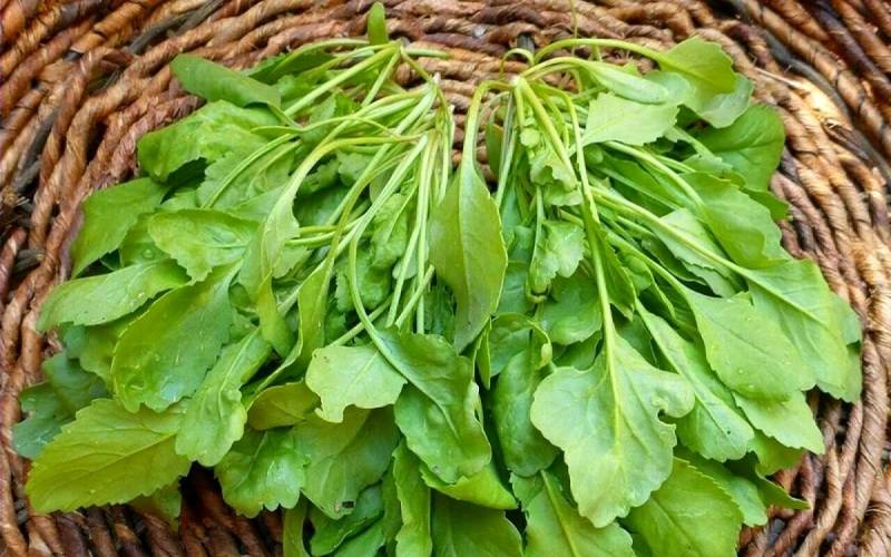 سالم‌ترین سبزی جهان